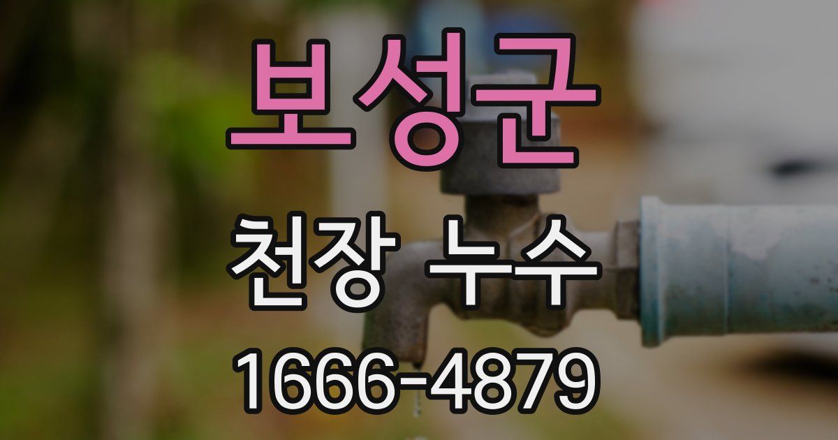 보성군 천장 누수