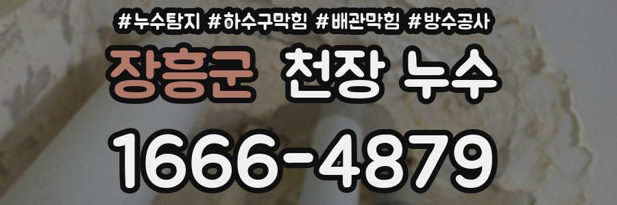 장흥군 천장 누수