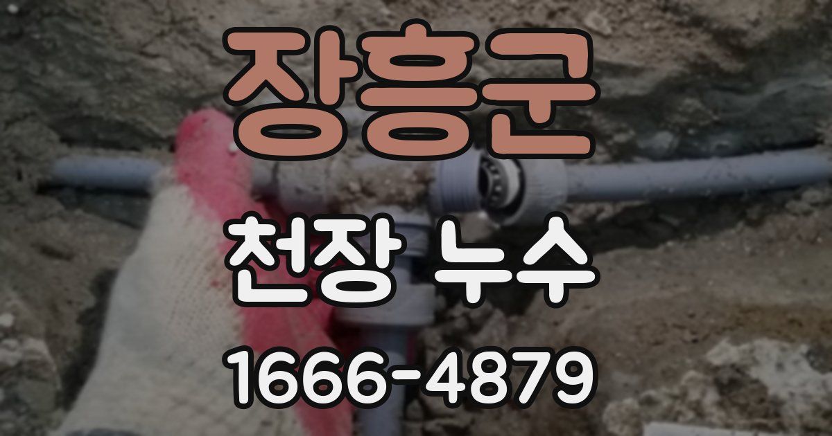 장흥군 천장 누수