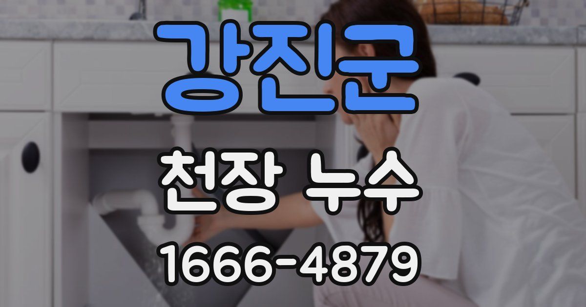 강진군 천장 누수