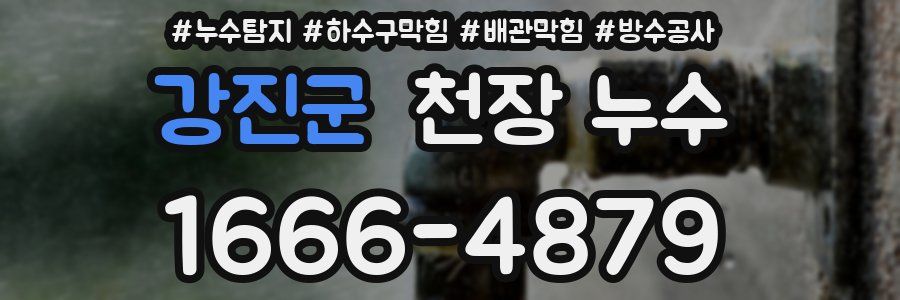 강진군 천장 누수