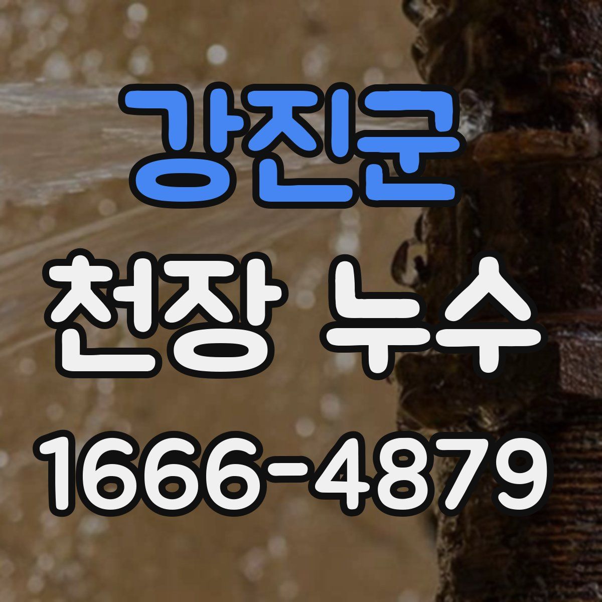강진군 천장 누수