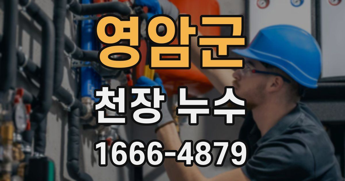 영암군 천장 누수