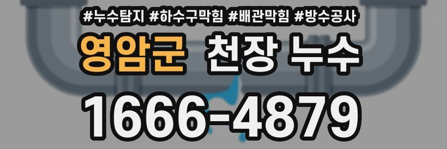 영암군 천장 누수