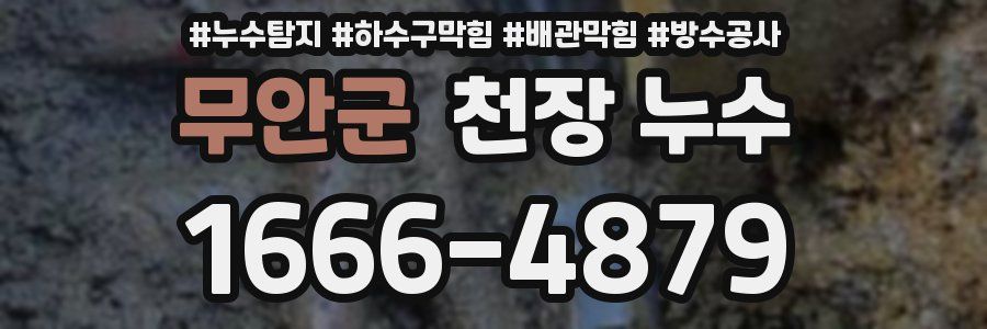무안군 천장 누수