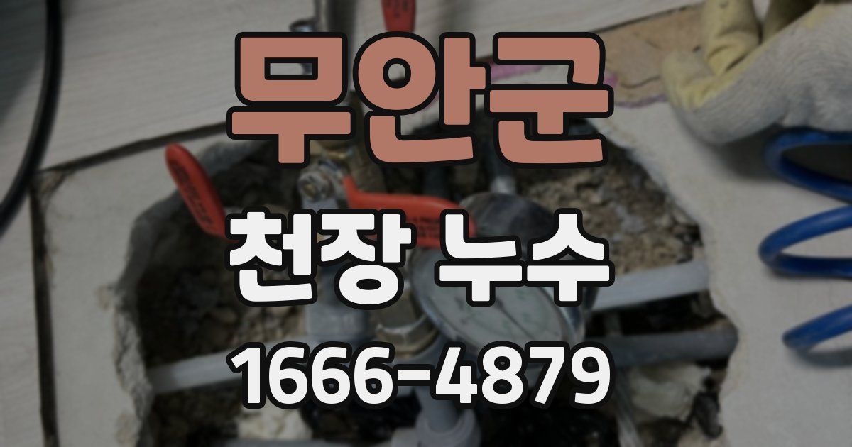 무안군 천장 누수