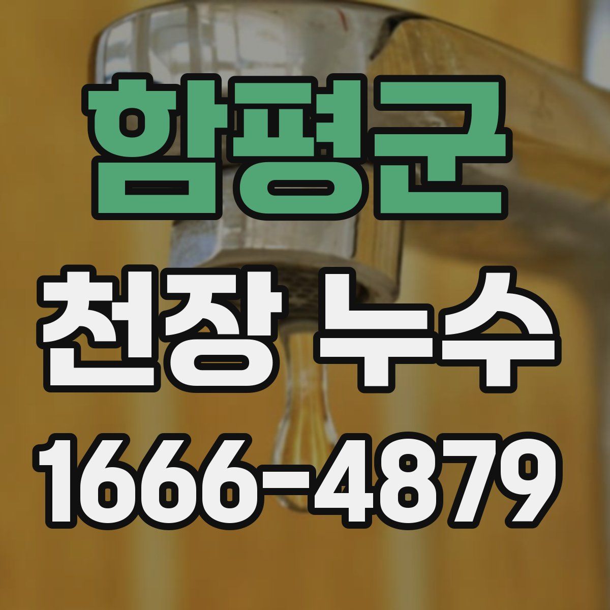 함평군 천장 누수
