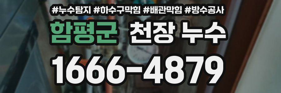 함평군 천장 누수