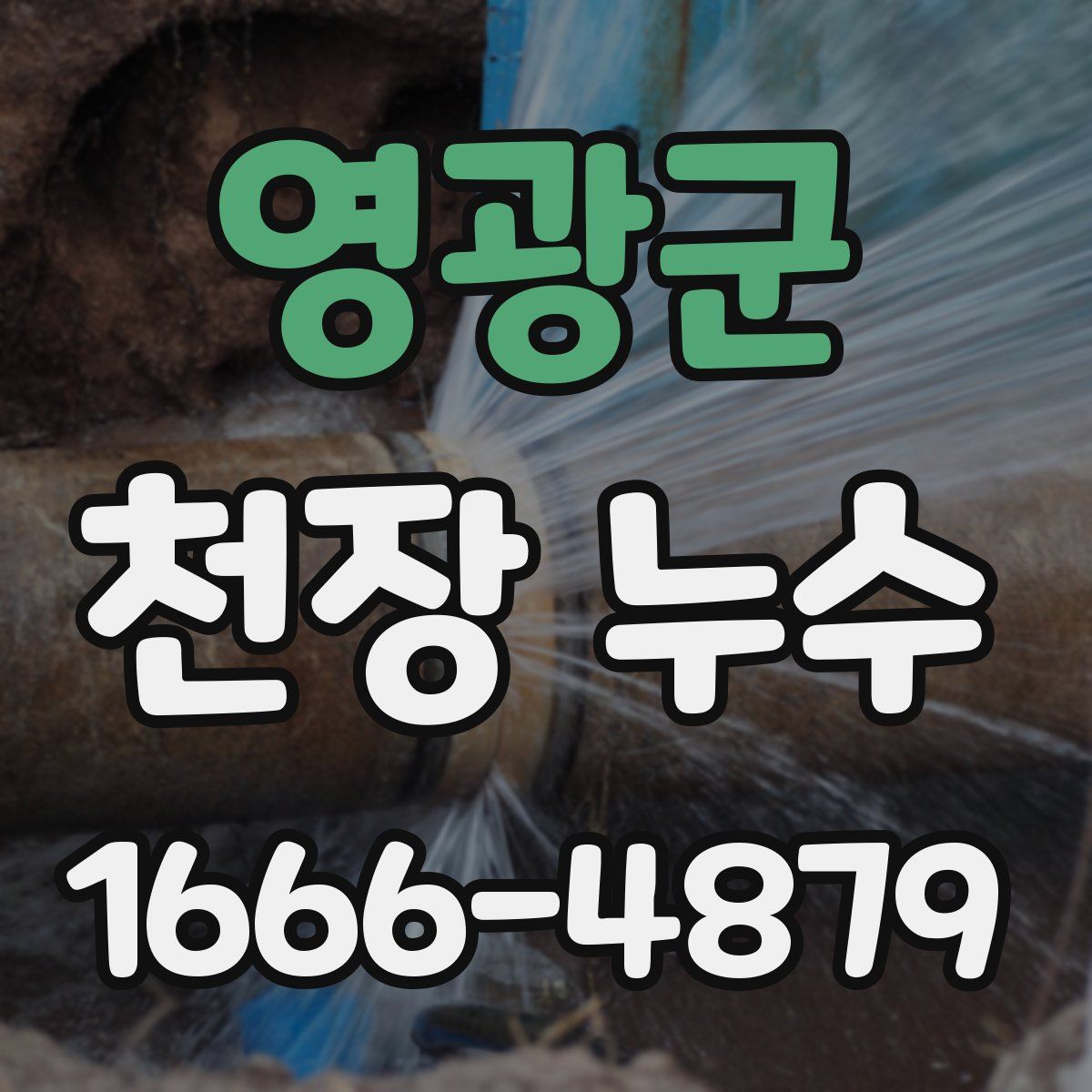 영광군 천장 누수