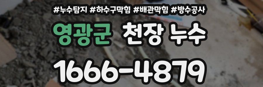 영광군 천장 누수