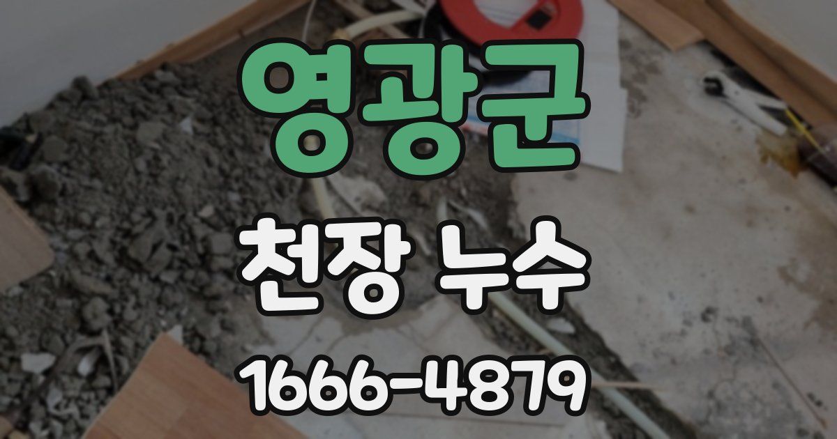 영광군 천장 누수