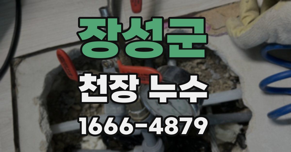 장성군 천장 누수