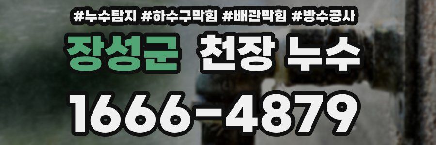 장성군 천장 누수