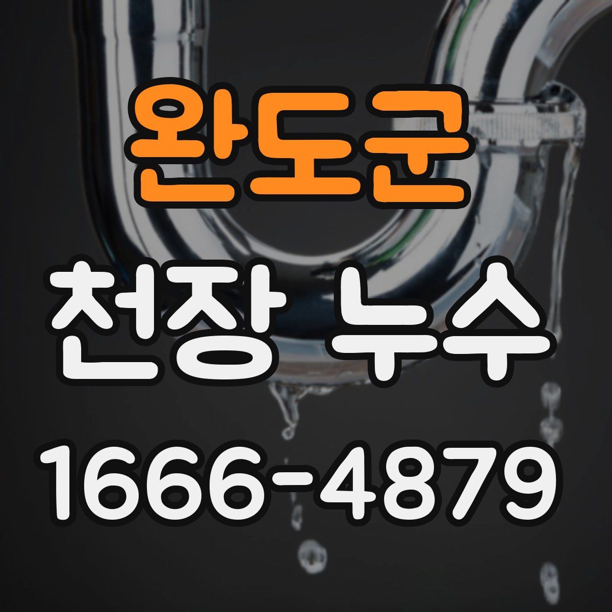 완도군 천장 누수