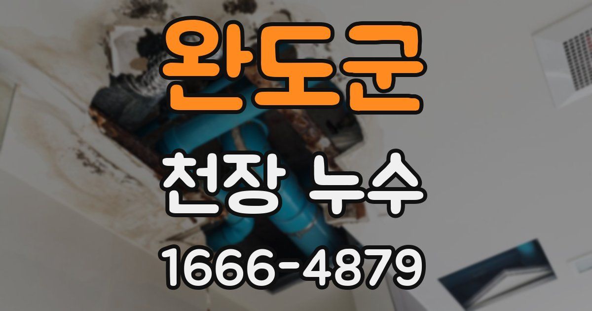 완도군 천장 누수