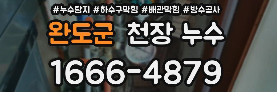 완도군 천장 누수