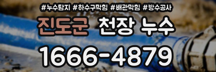 진도군 천장 누수