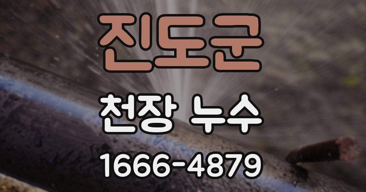 진도군 천장 누수