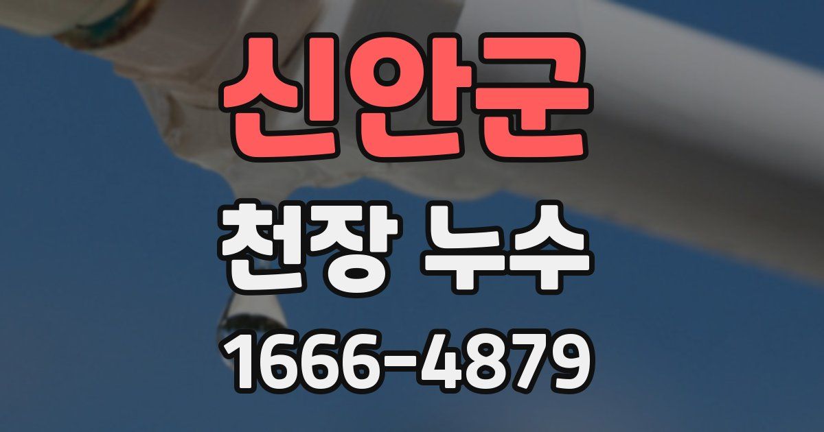 신안군 천장 누수