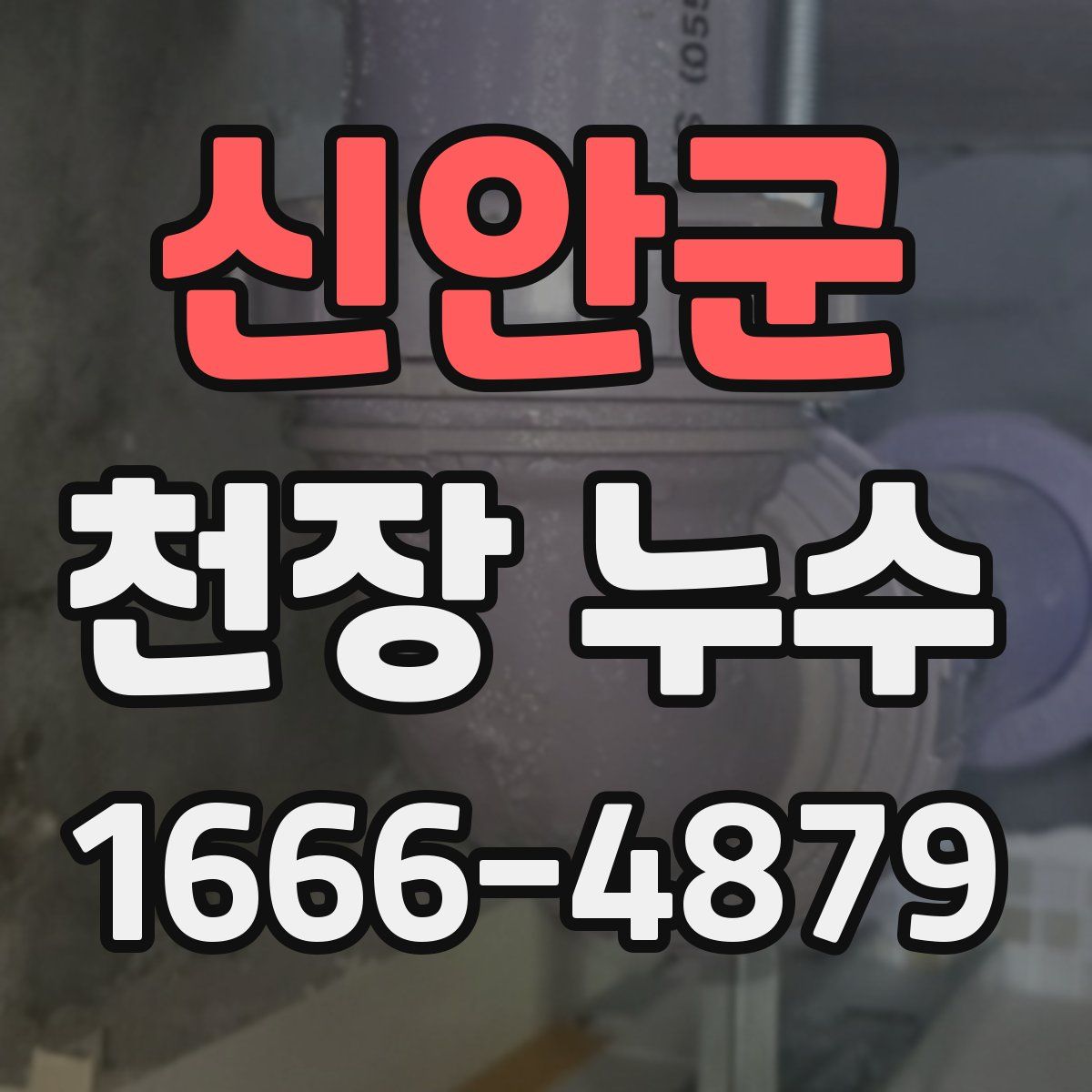 신안군 천장 누수