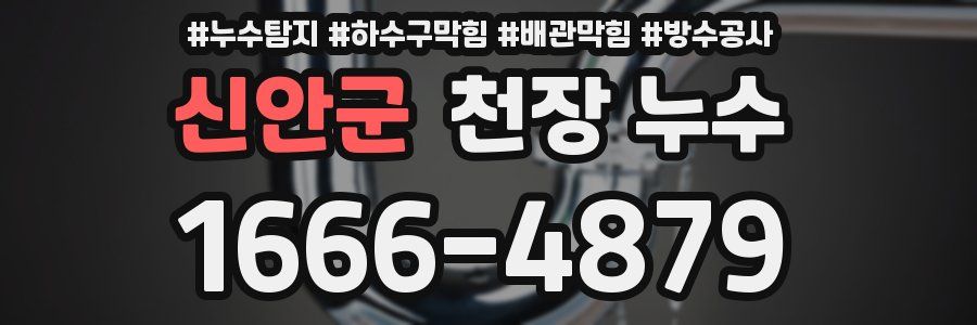 신안군 천장 누수