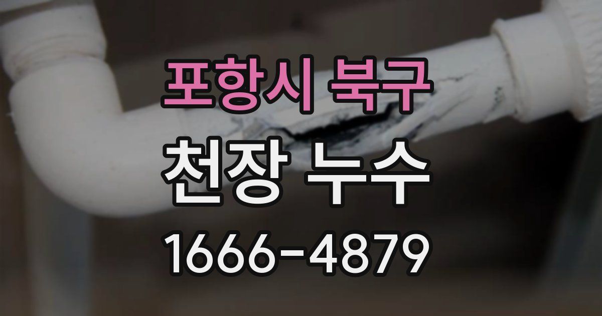 포항시 북구 천장 누수