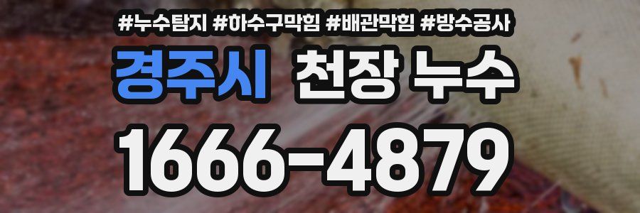 경주시 천장 누수