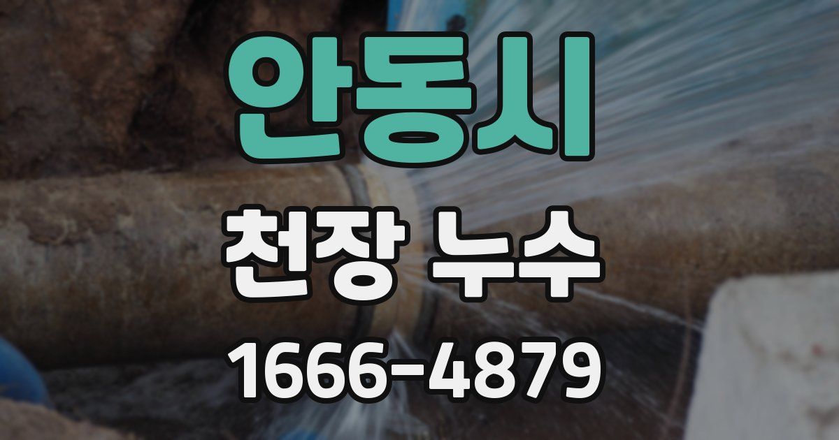 안동시 천장 누수