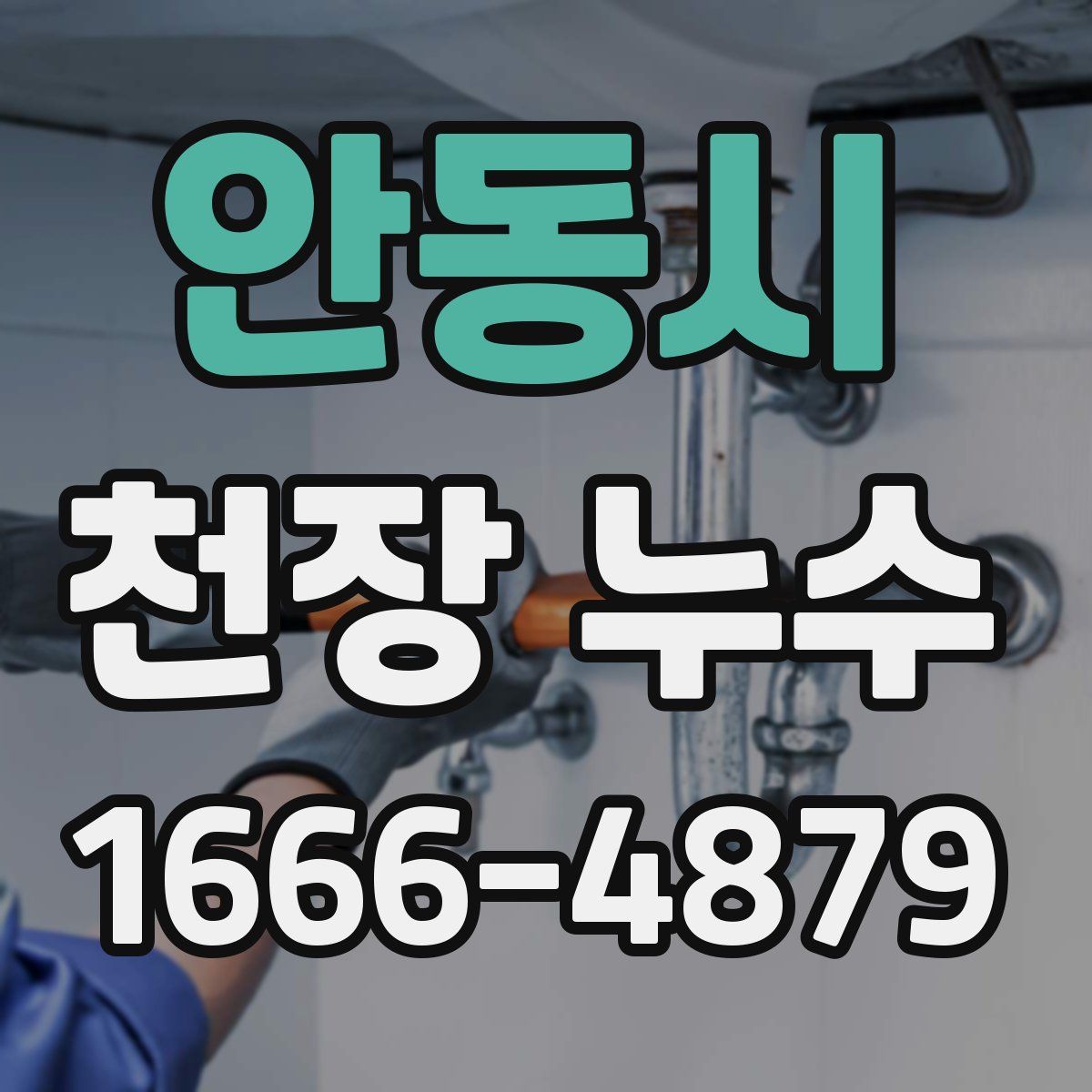 안동시 천장 누수