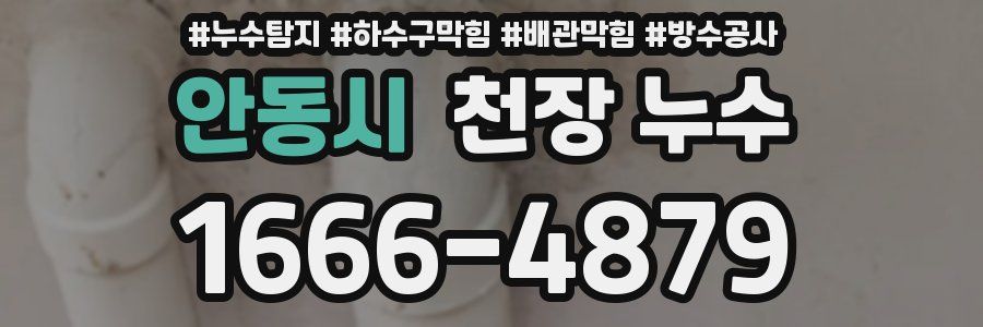 안동시 천장 누수