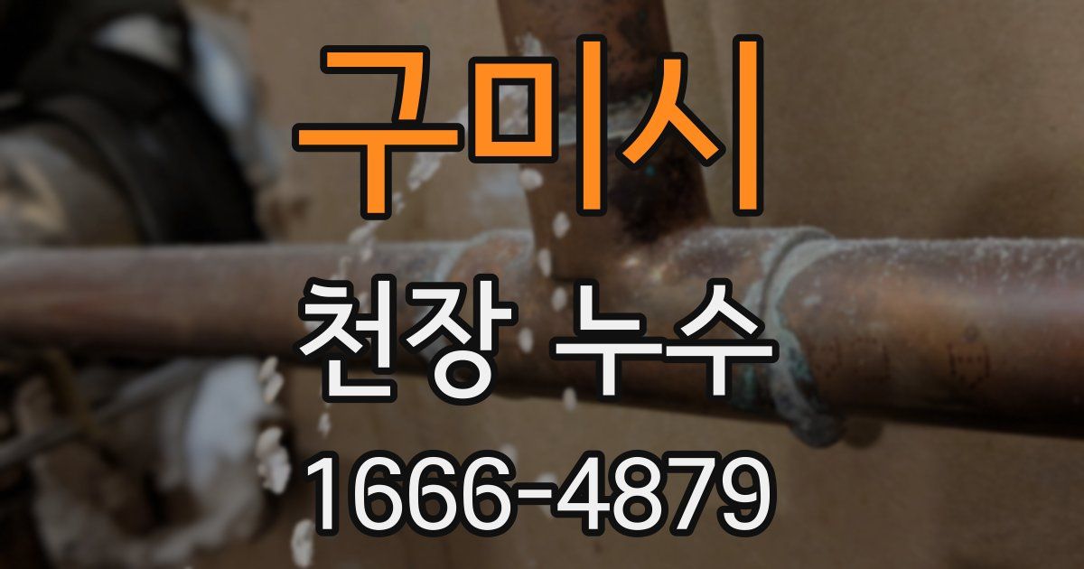 구미시 천장 누수