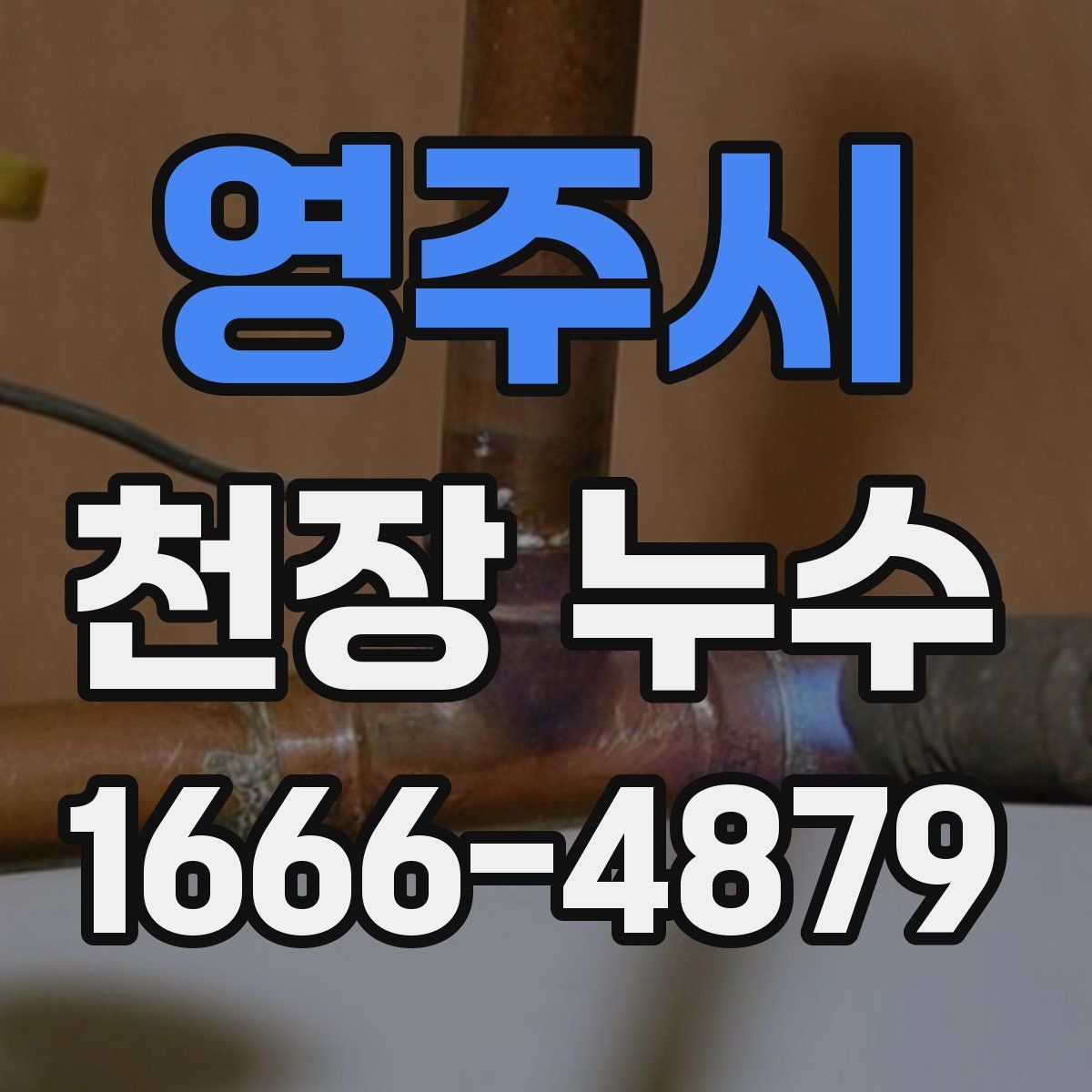 영주시 천장 누수