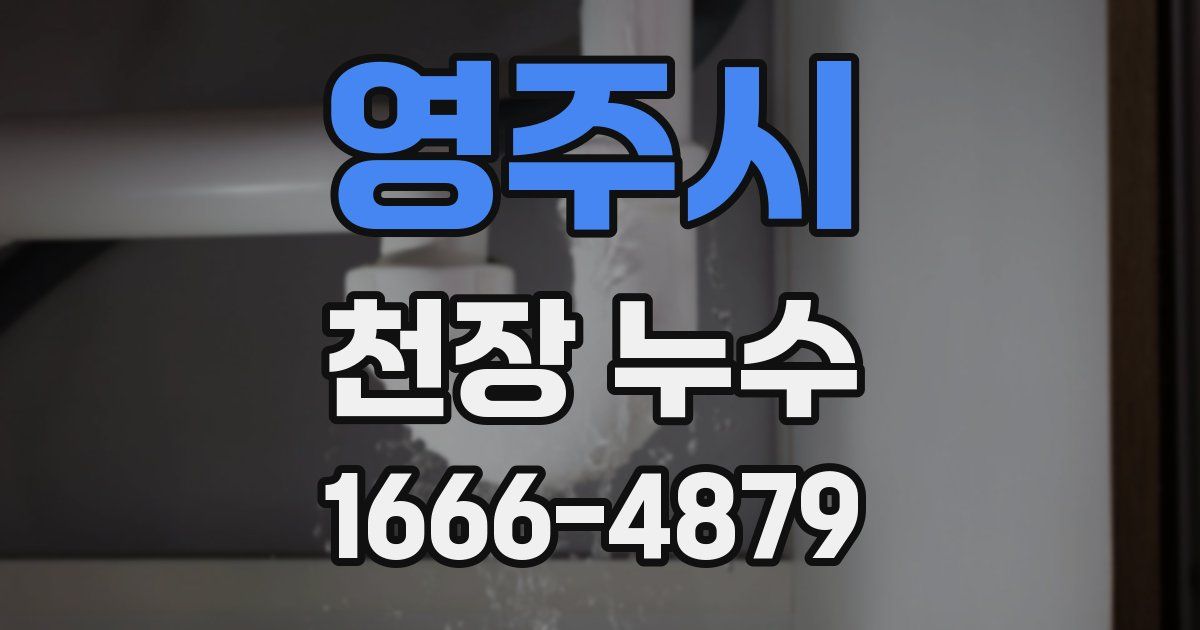 영주시 천장 누수