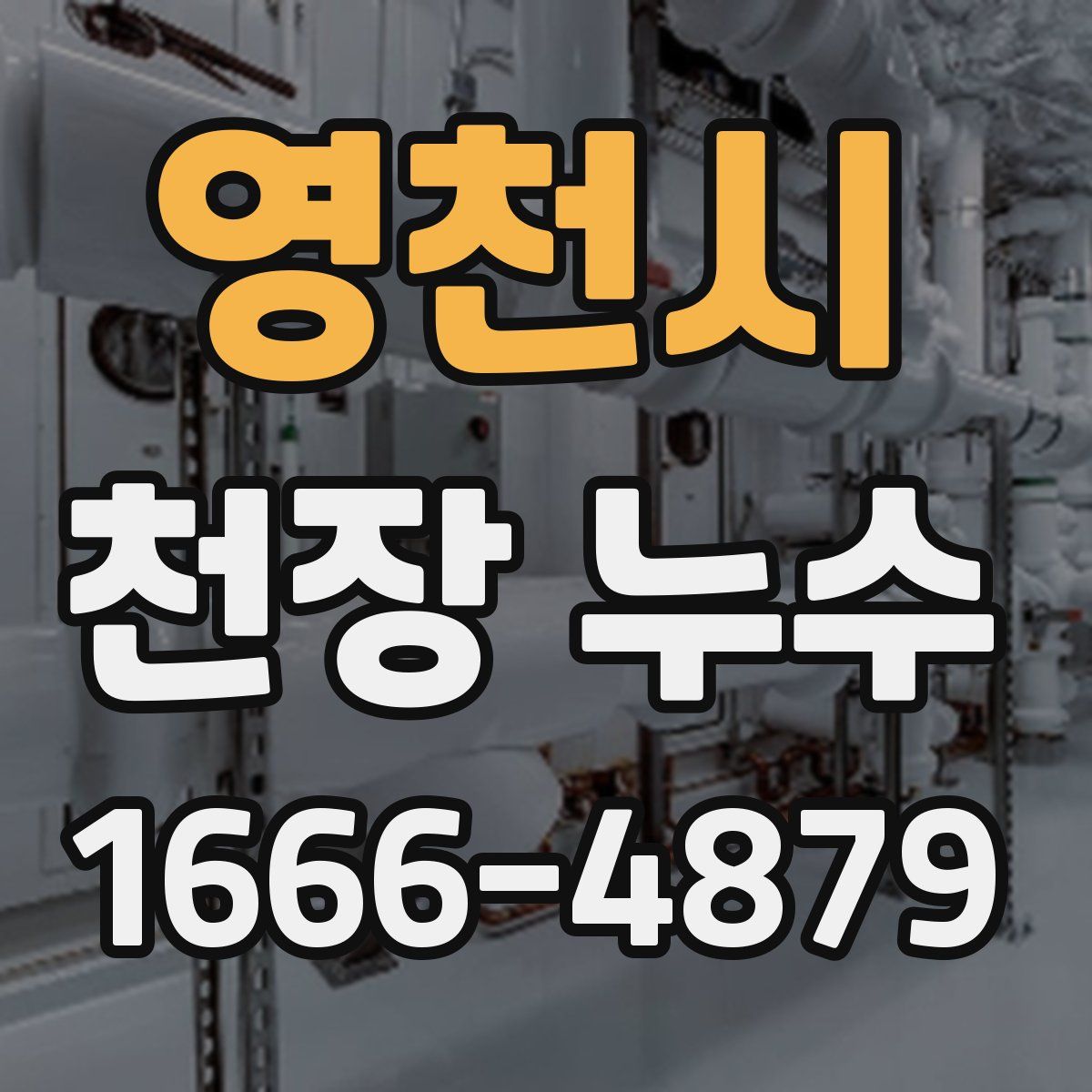 영천시 천장 누수