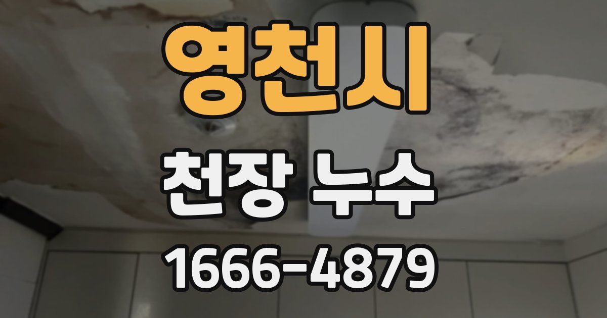 영천시 천장 누수