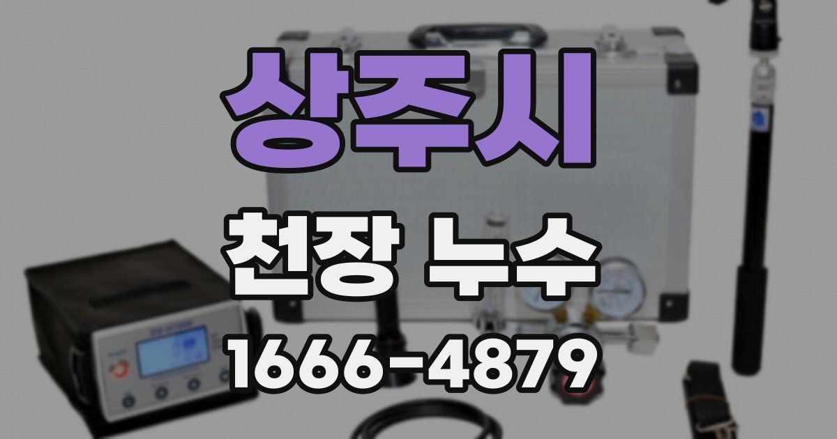 상주시 천장 누수