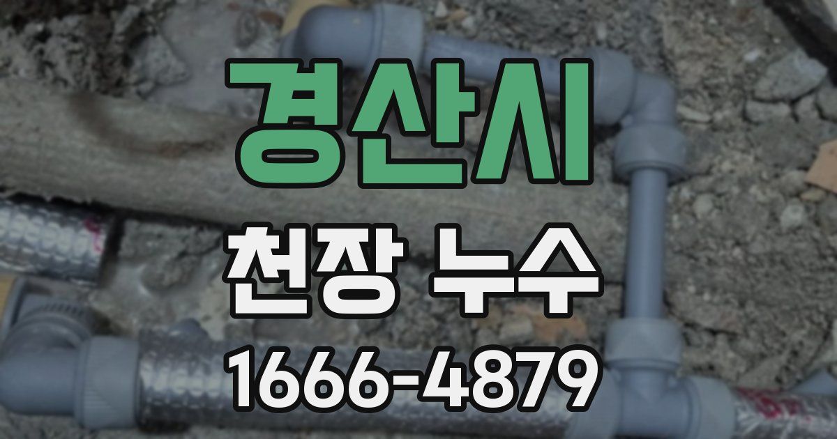 경산시 천장 누수