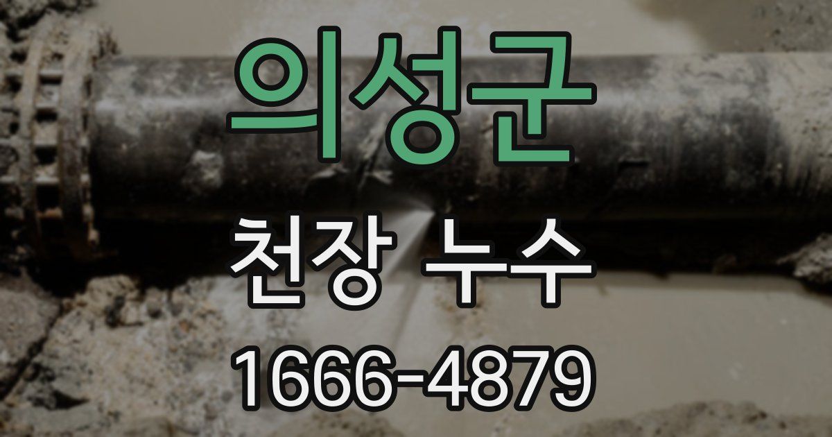 의성군 천장 누수