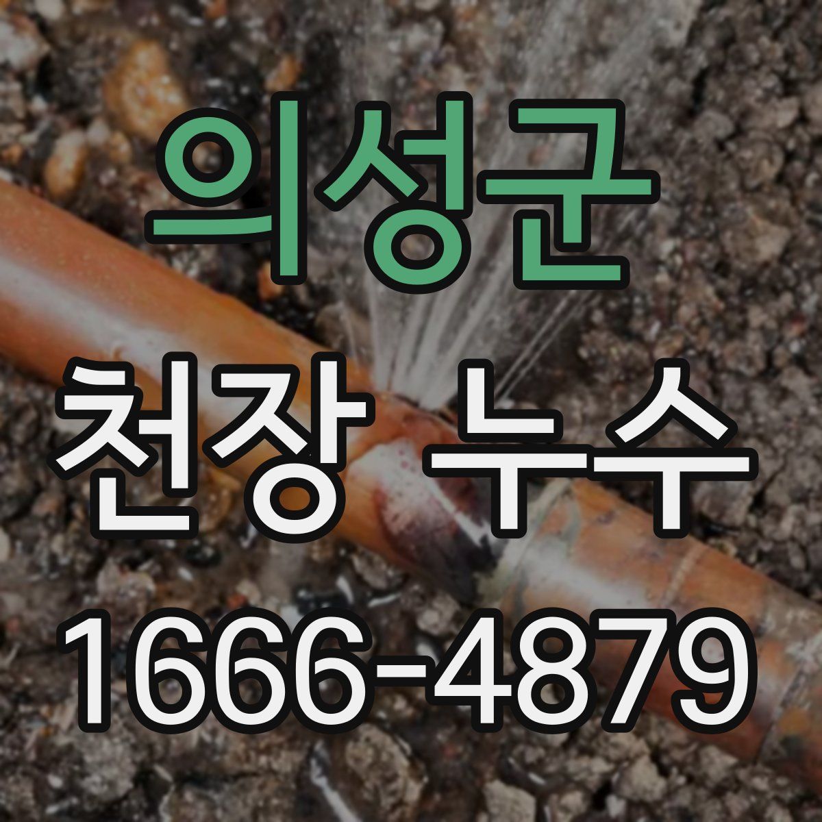 의성군 천장 누수