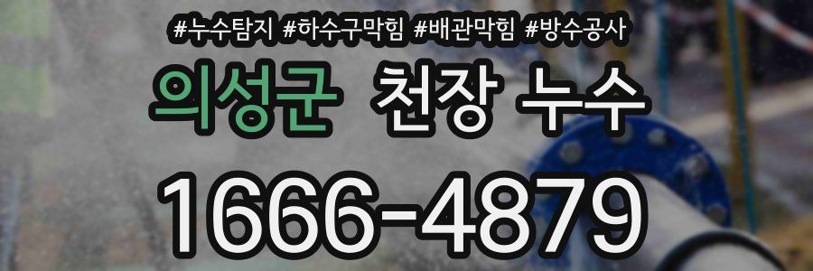 의성군 천장 누수