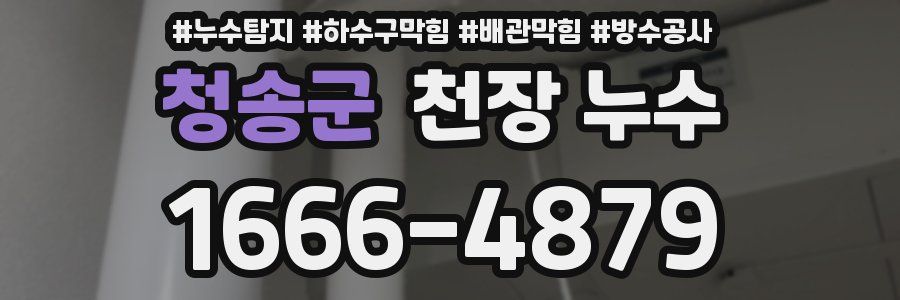 청송군 천장 누수