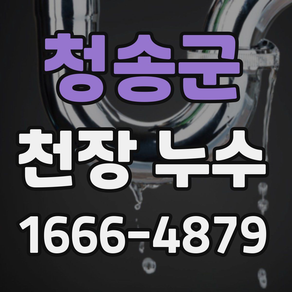 청송군 천장 누수