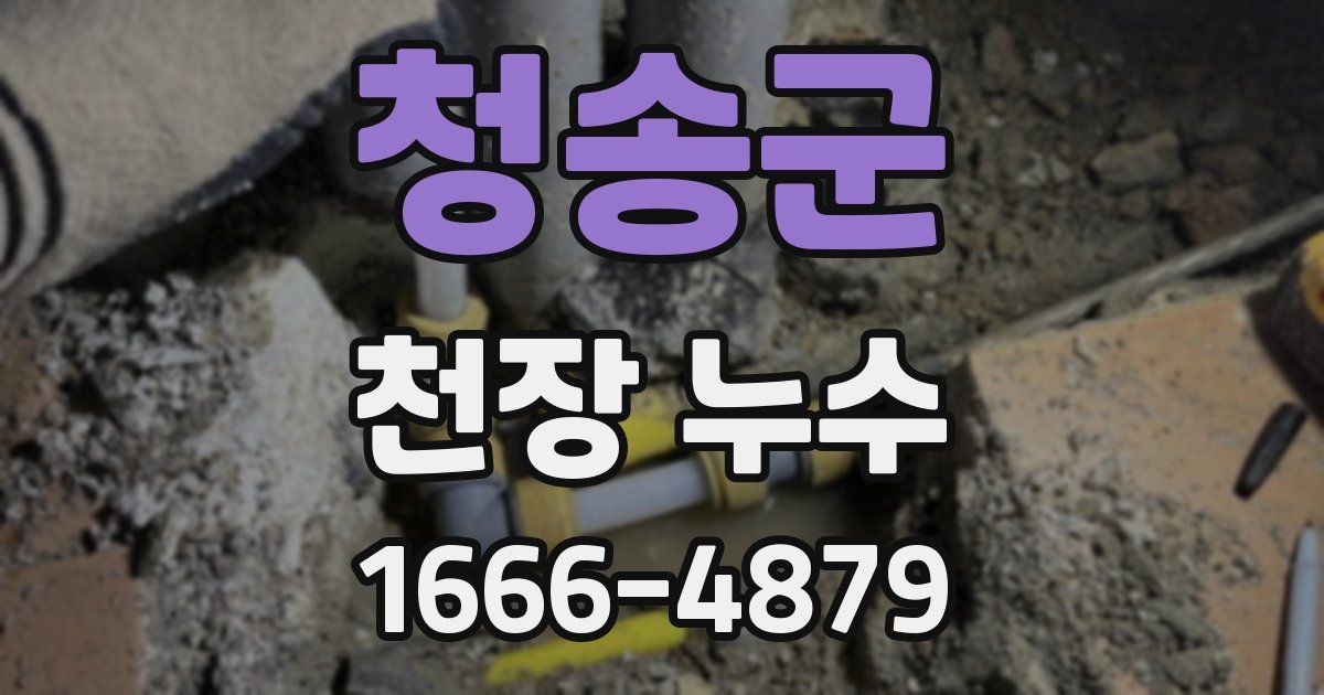 청송군 천장 누수