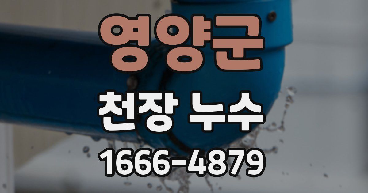 영양군 천장 누수