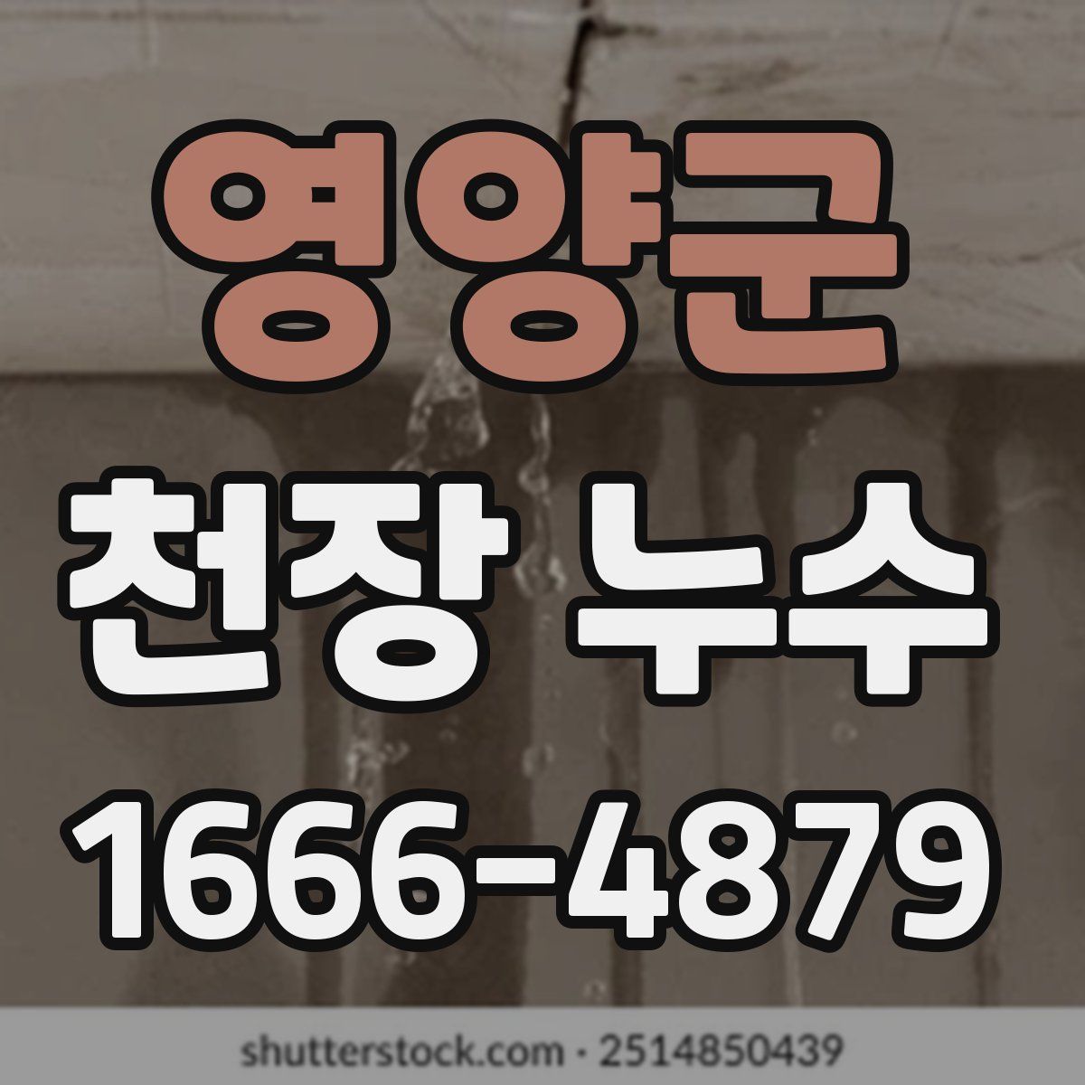영양군 천장 누수