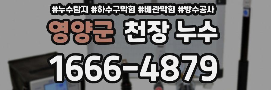 영양군 천장 누수
