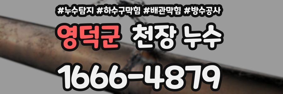 영덕군 천장 누수