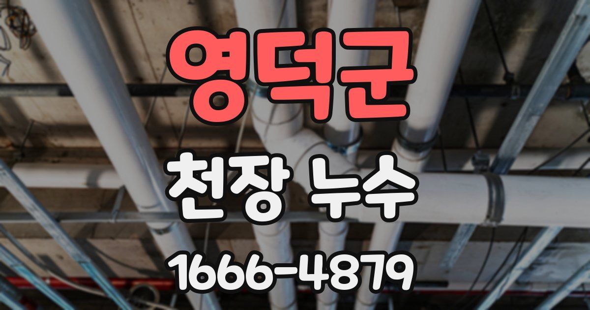 영덕군 천장 누수