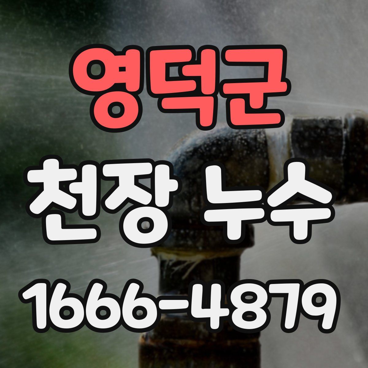 영덕군 천장 누수