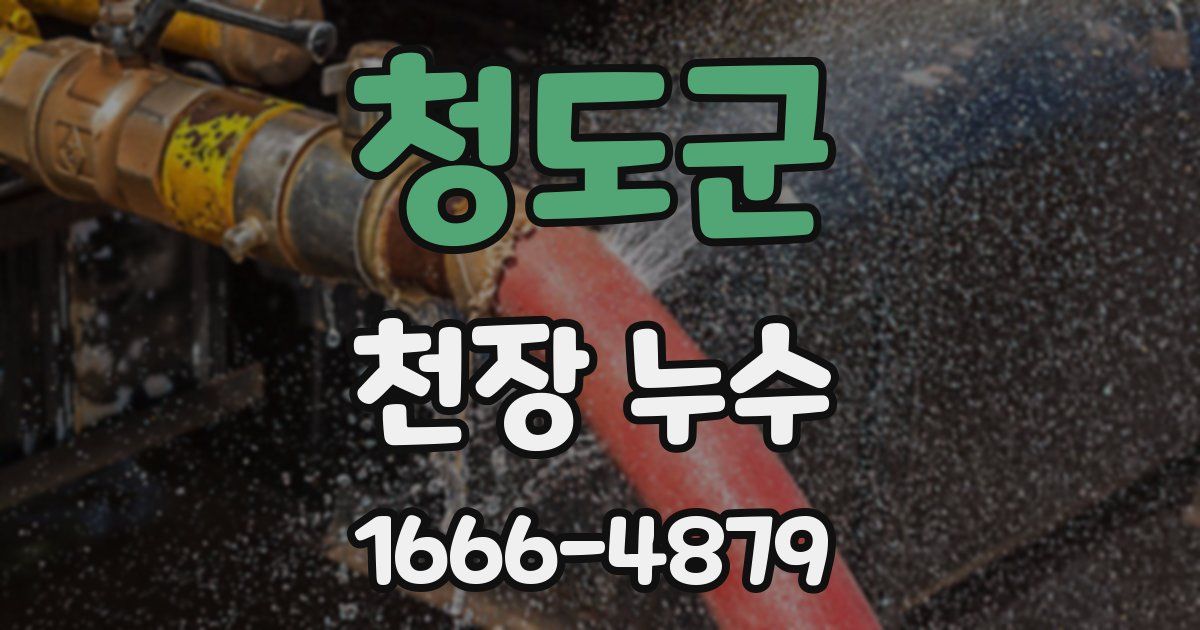 청도군 천장 누수